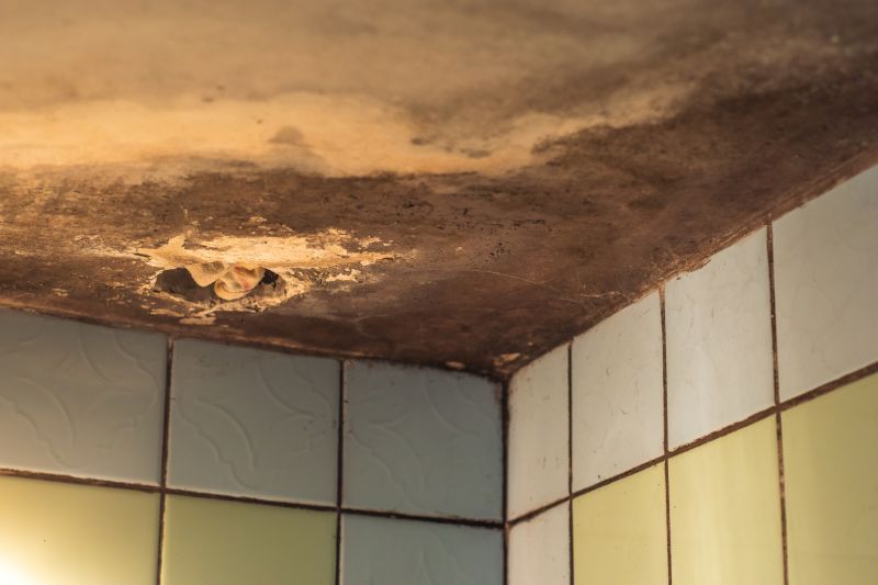 Mold Growth Areas