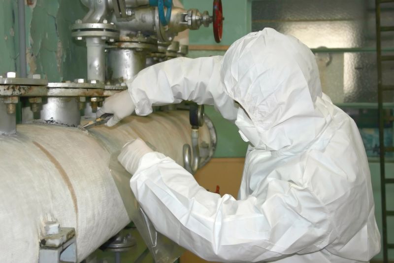 Asbestos and Mold Inspection Service