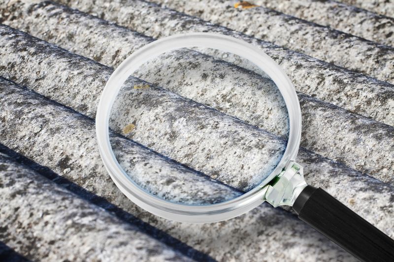 Asbestos and Mold Inspection Service