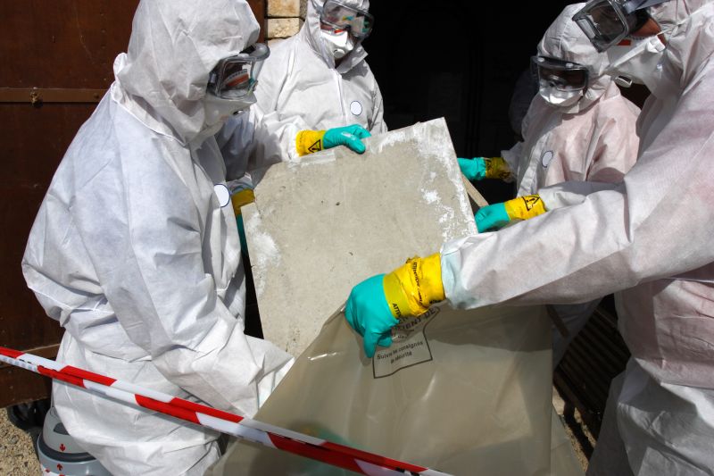 Asbestos And Mold Inspection Service