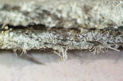 Asbestos Service in Freehold, NJ
