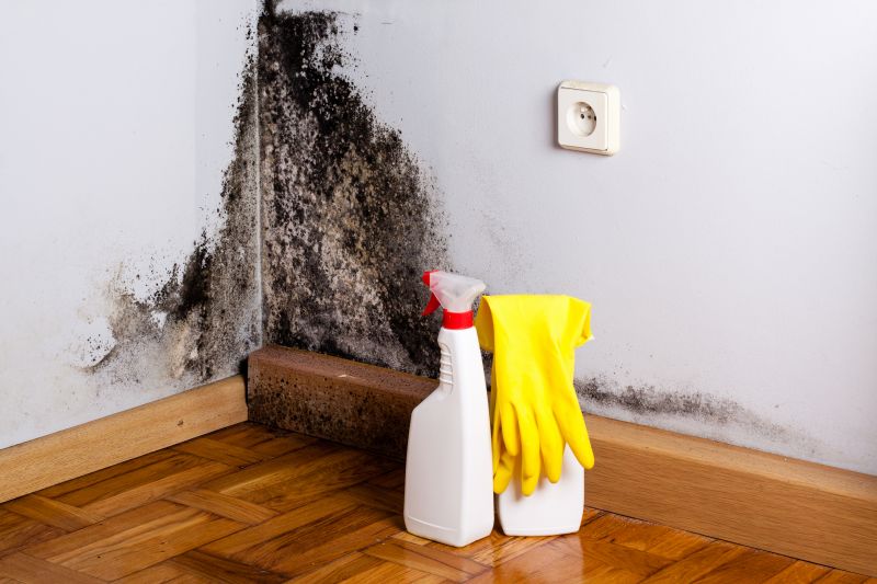 Basement Mold Removal in Fort Worth, TX