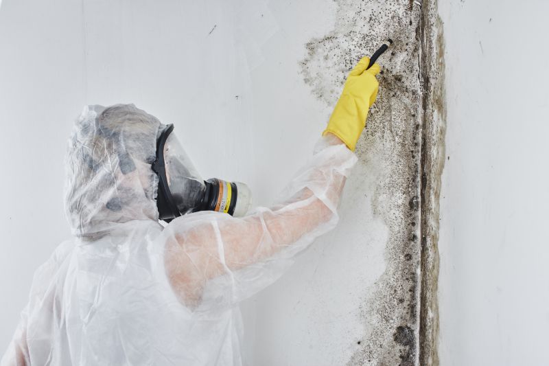 Black Mold Removal in Rockwall, TX
