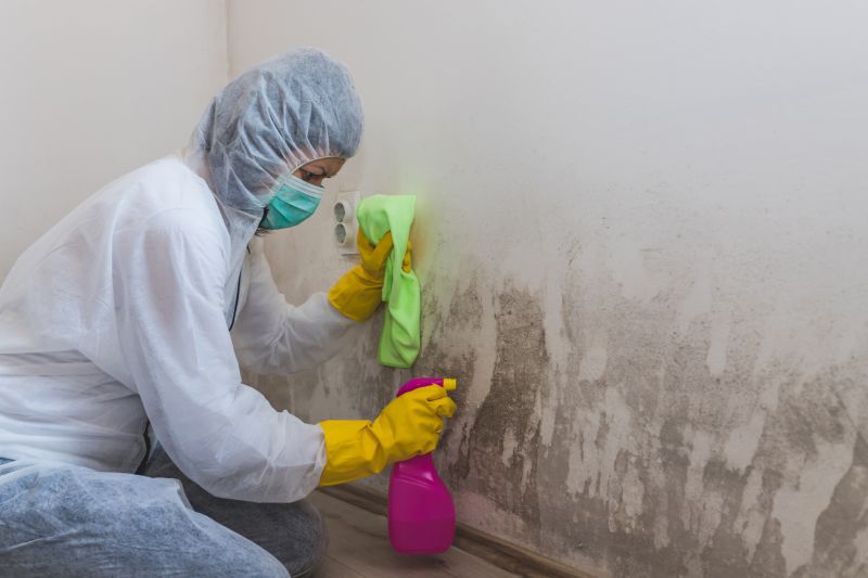Crawl Space Mold Removal in Fort Worth, TX