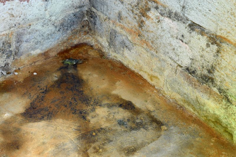 Crawl Space Mold Removal in Essex County, NJ
