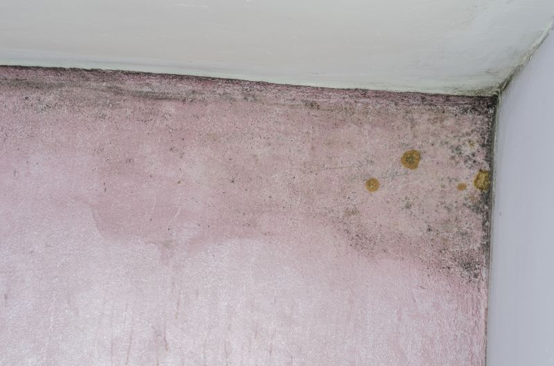 Ermi Testing in Palm Beach County, FL