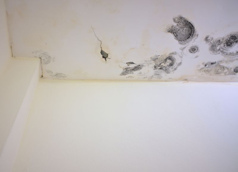 Garage Mold Remediation in Essex County, NJ