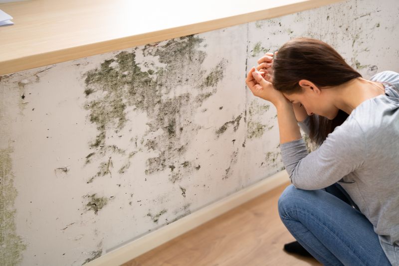 Mold Abatement in West Palm Beach, FL