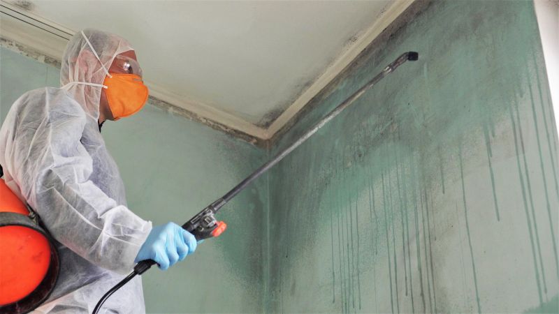 Mold Abatement Service in Bergen County, NJ