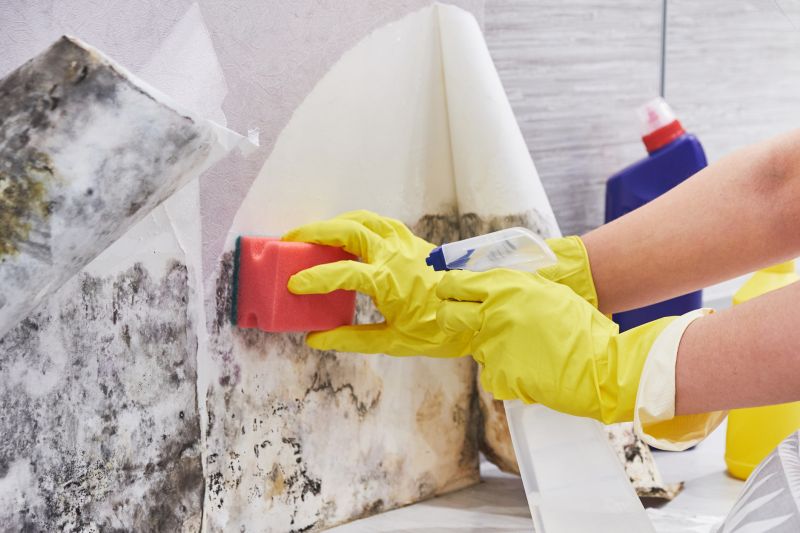 Mold Abatement Service in Dallas, TX