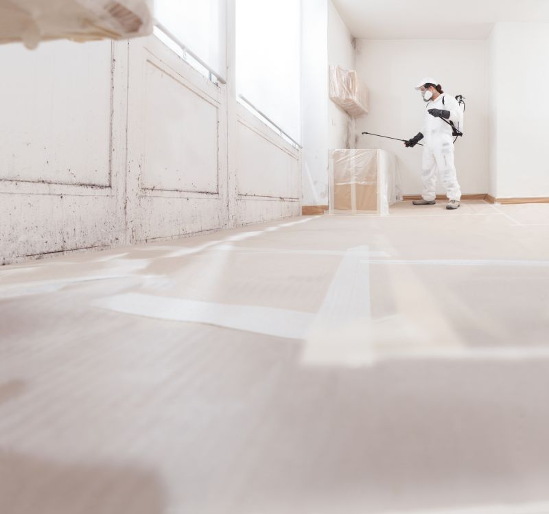 Mold Abatement Service in Broward County, FL