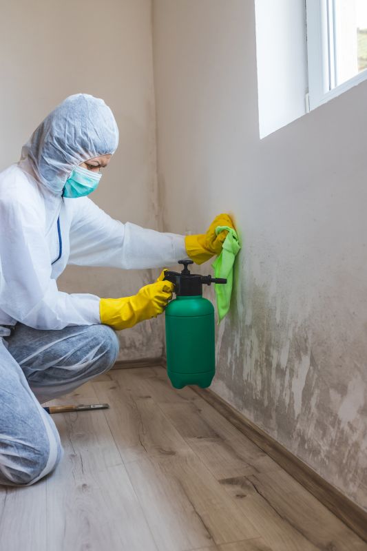 Mold Cleanup Service in Essex County, NJ