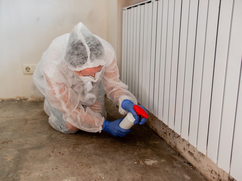 Mold Cleanup Service in Frisco, TX