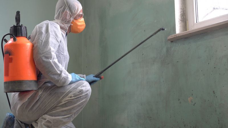 Mold Control in Rockwall, TX
