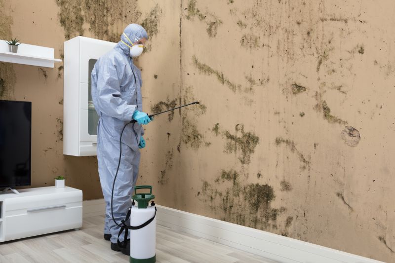 Mold Detection in Denton, TX