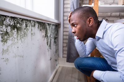 Mold Detection in Broward County, FL
