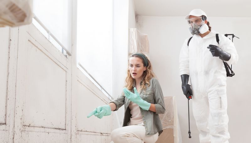 Mold Remediation Service in Jupiter, FL