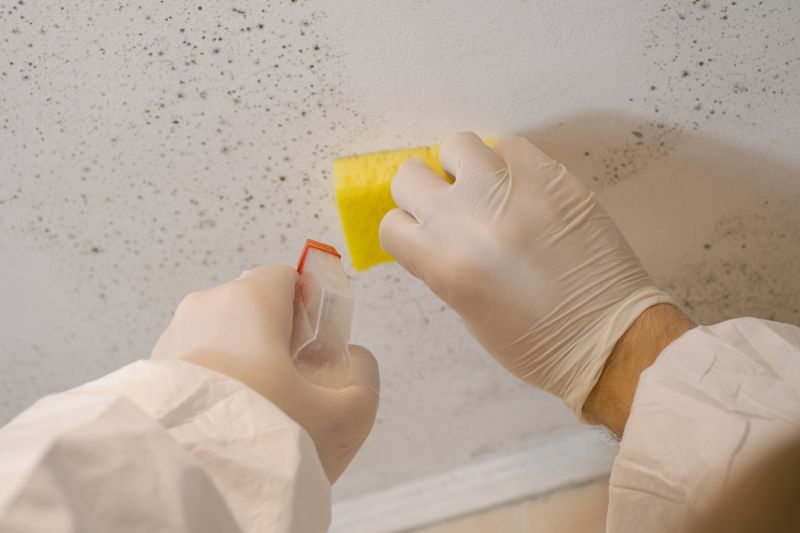 Mold Remediation Service in Essex County, NJ