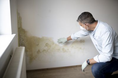 Mold Remediation Service in Fort Lauderdale, FL