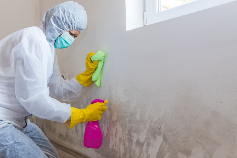Mold Remediation Service in West Palm Beach, FL