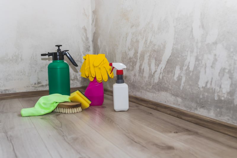 Mold Removal in Fort Worth, TX