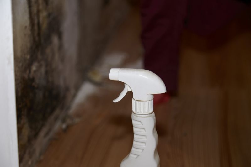 Mold Removal in Fort Worth, TX