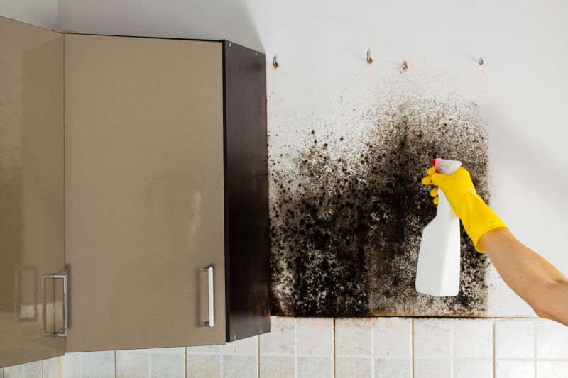 Mold Removal in Fort Worth, TX