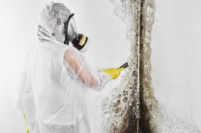 White Mold Mitigation in Fort Worth, TX