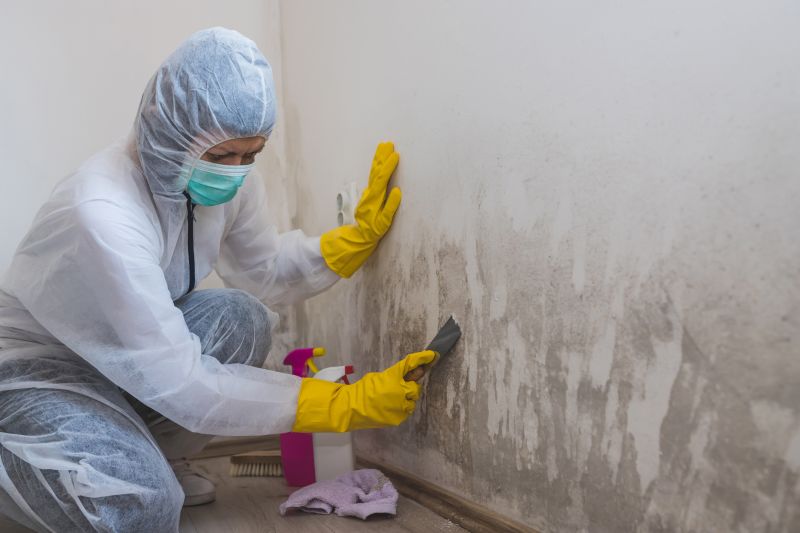White Mold Mitigation in West Palm Beach, FL