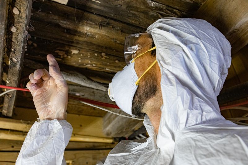 Signs of Mold or Asbestos