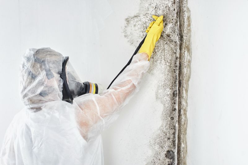 Mold Abatement in Dallas, TX
