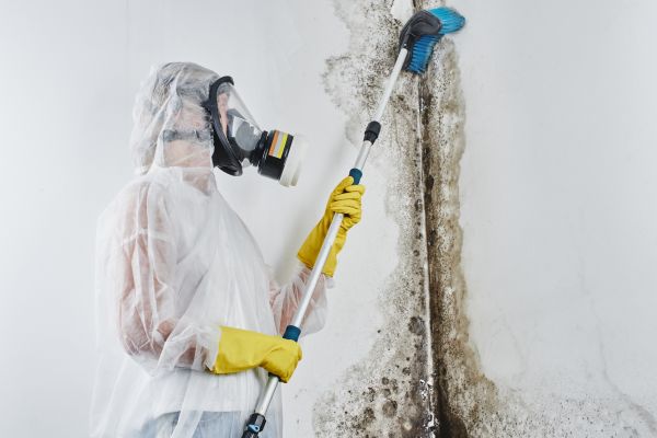 Mold Removal Service - Mold Removal Service Rockville, Maryland